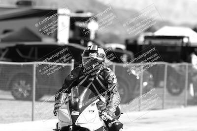 media/Feb-23-2025-2WTD (Sun) [[9604a77d5d]]/1-Around the Pits/